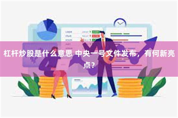 杠杆炒股是什么意思 中央一号文件发布，有何新亮点？