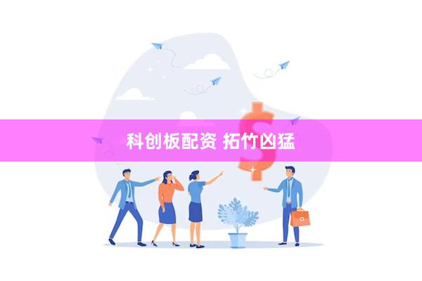 科创板配资 拓竹凶猛