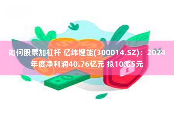 如何股票加杠杆 亿纬锂能(300014.SZ)：2024年度净利润40.76亿元 拟10派5元