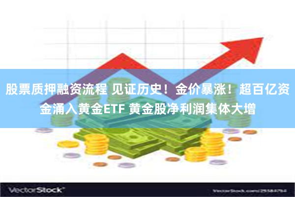 股票质押融资流程 见证历史！金价暴涨！超百亿资金涌入黄金ETF 黄金股净利润集体大增